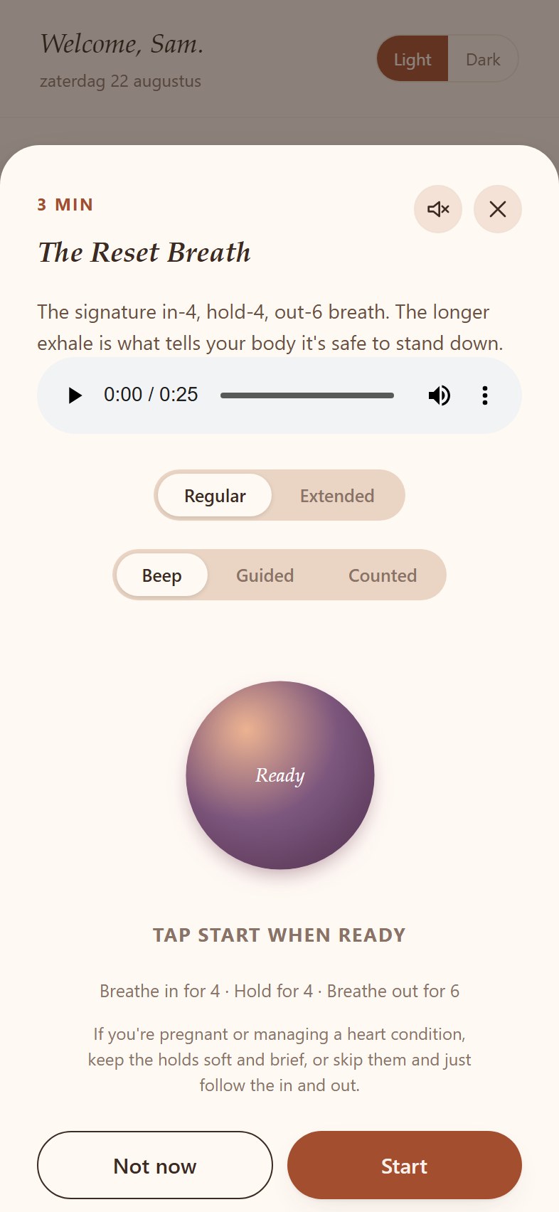 Guided Breathing screen in the Reset Kit app