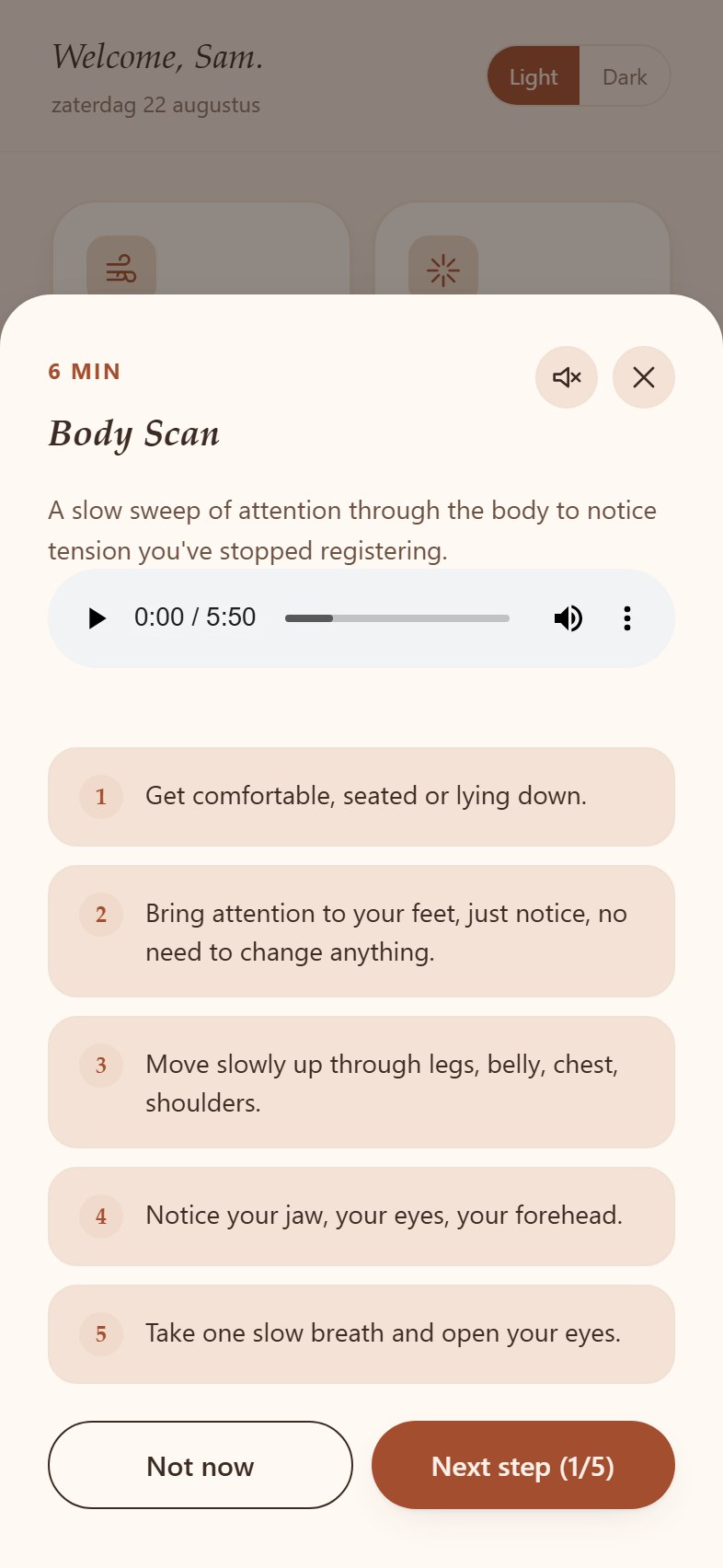 Step-by-Step Practices screen in the Reset Kit app